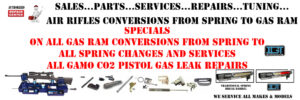 Air Rifle Repair