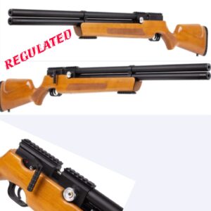 Nova Visa Leviathan PS-R2 " Regulated "